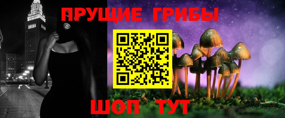 Сарапул  купить наркотики цена  Вход с VPN  Псилоцибиновые грибы Cubensis 